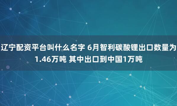 辽宁配资平台叫什么名字 6月智利碳酸锂出口数量为1.46万吨 其中出口到中国1万吨