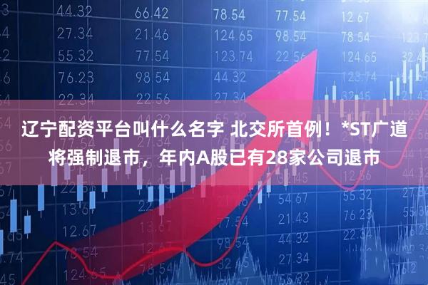 辽宁配资平台叫什么名字 北交所首例!*ST广道将强制退市,年内A股已有28家公司退市